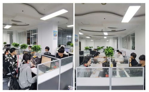 成都市成華區(qū)第七次全國(guó)人口普查咨詢(xún)熱線(xiàn)正式開(kāi)通，為您提供便捷信息咨詢(xún)服務(wù)